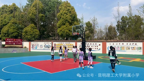 美国篮球训练计划一整套_2